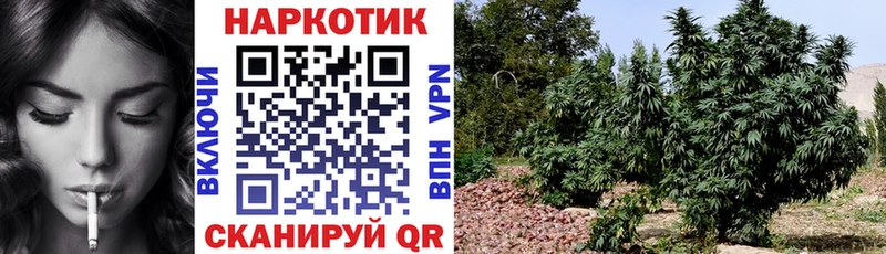 Где можно купить наркотики Хвалынск кракен зеркало  Меф мяу мяу  Бутират  Гашиш  Бошки Шишки  APVP  COCAIN  АМФЕТАМИН 
