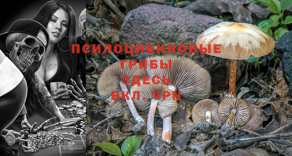 прущая мука Алзамай