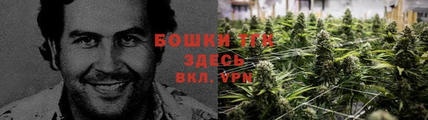 a pvp Алексеевка