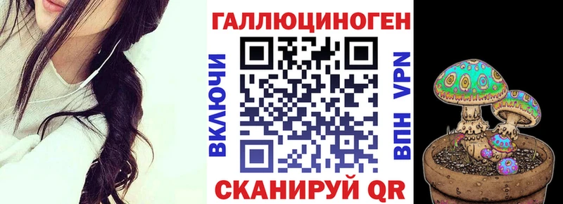 Псилоцибиновые грибы Psilocybe  omg tor  Хвалынск 